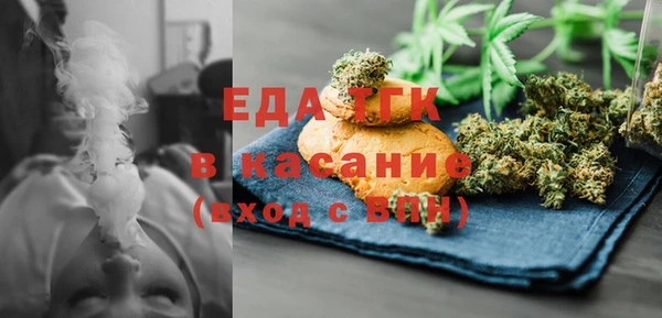 индика Осинники
