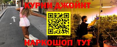 сатива Можайск