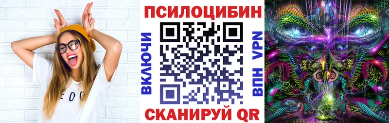магазин наркотиков Шуя Галлюциногенные грибы MAGIC MUSHROOMS