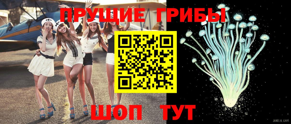 Шуя  Псилоцибиновые грибы прущие грибы  Вход с VPN 