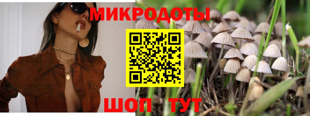 Галлюциногенные грибы мицелий Шуя